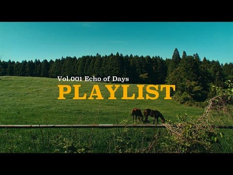 제주 배경 플레이리스트